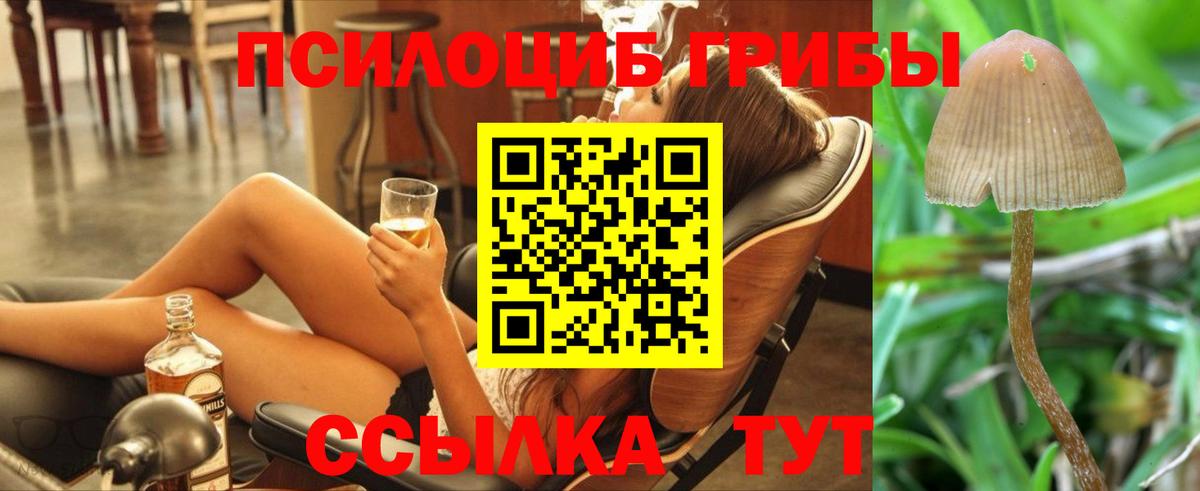 Псилоцибиновые грибы GOLDEN TEACHER  Вход с VPN  Бердск 
